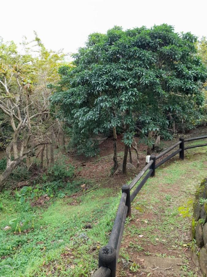19 Montego Bay Caribbean Estate Leilighet Port Edward Eksteriør bilde
