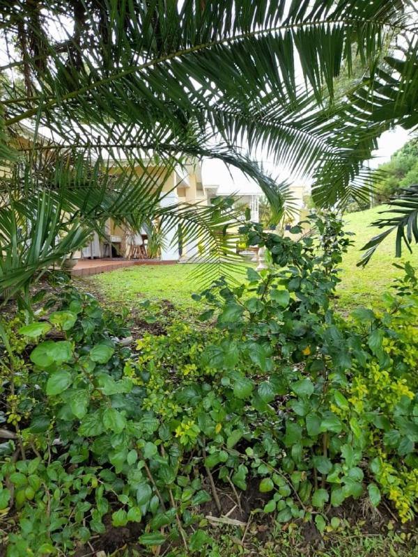 19 Montego Bay Caribbean Estate Leilighet Port Edward Eksteriør bilde